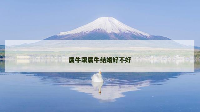 属牛跟属牛结婚好不好
