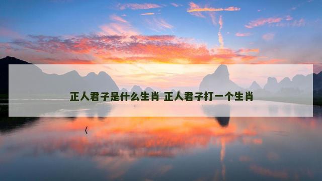 正人君子是什么生肖 正人君子打一个生肖