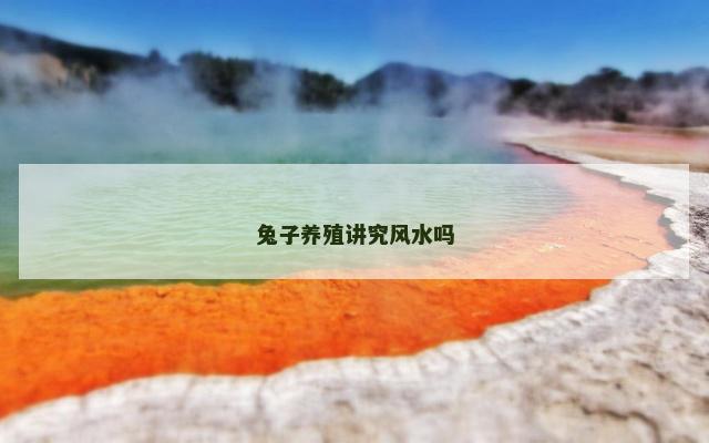 兔子养殖讲究风水吗