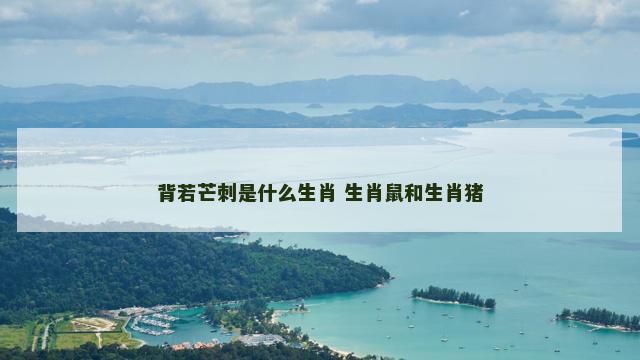 背若芒刺是什么生肖 生肖鼠和生肖猪