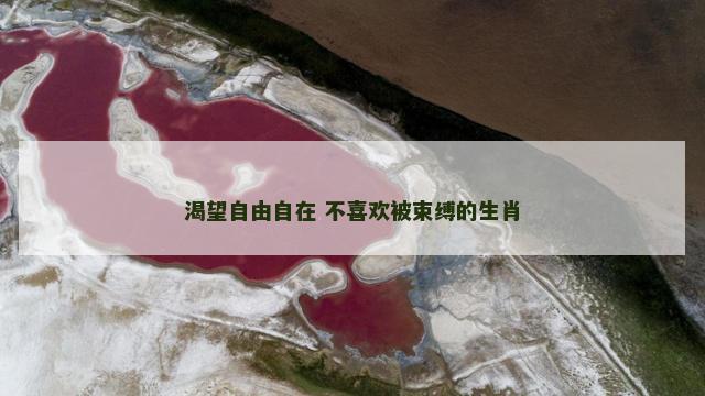 渴望自由自在 不喜欢被束缚的生肖