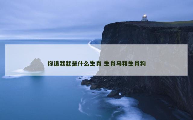 你追我赶是什么生肖 生肖马和生肖狗