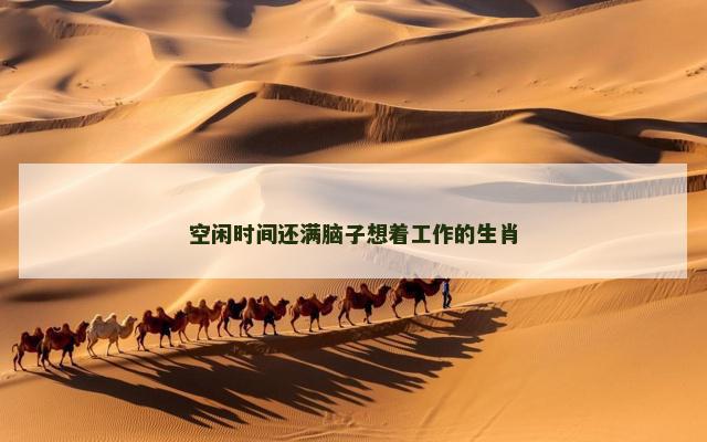 空闲时间还满脑子想着工作的生肖