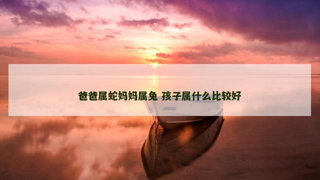 爸爸属蛇妈妈属兔 孩子属什么比较好