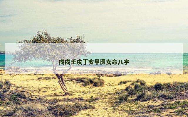 戊戌壬戌丁亥甲辰女命八字