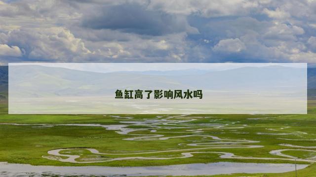 鱼缸高了影响风水吗