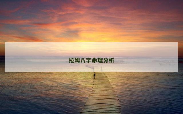 拉姆八字命理分析