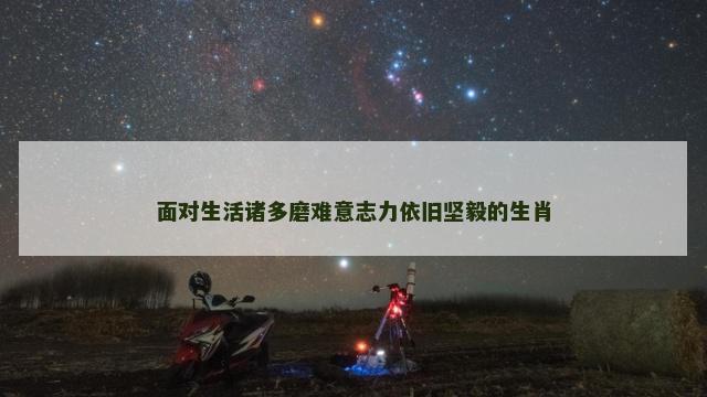 面对生活诸多磨难意志力依旧坚毅的生肖