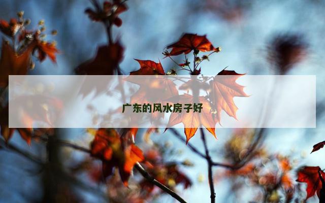 广东的风水房子好