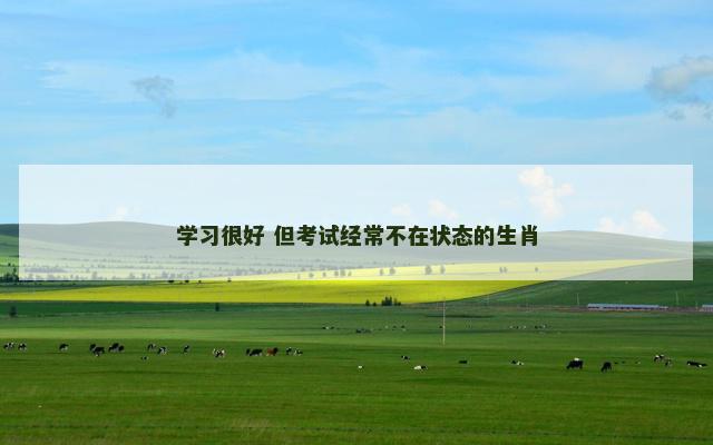 学习很好 但考试经常不在状态的生肖