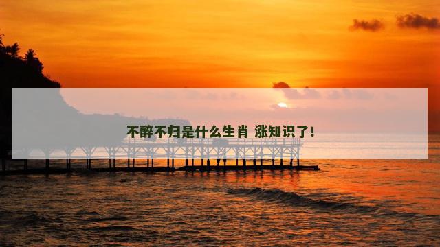不醉不归是什么生肖 涨知识了！