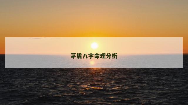 茅盾八字命理分析