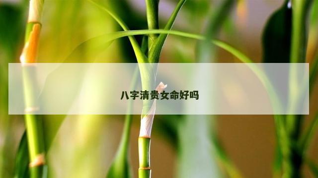 八字清贵女命好吗