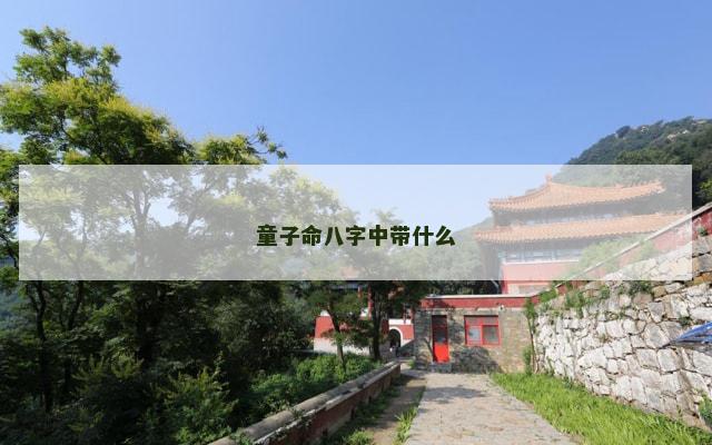 童子命八字中带什么