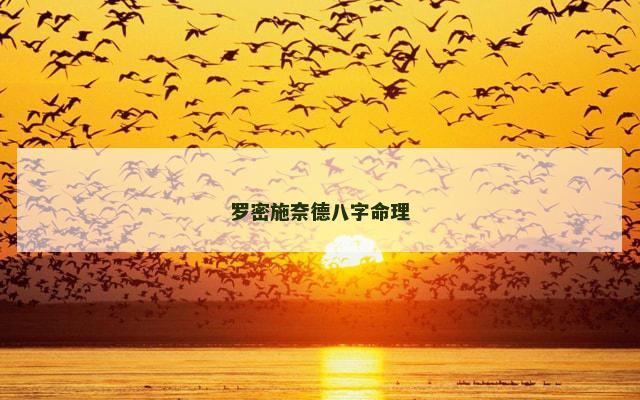 罗密施奈德八字命理