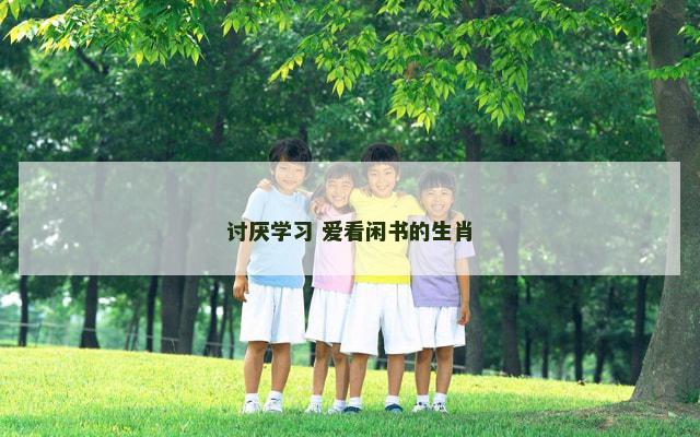 讨厌学习 爱看闲书的生肖