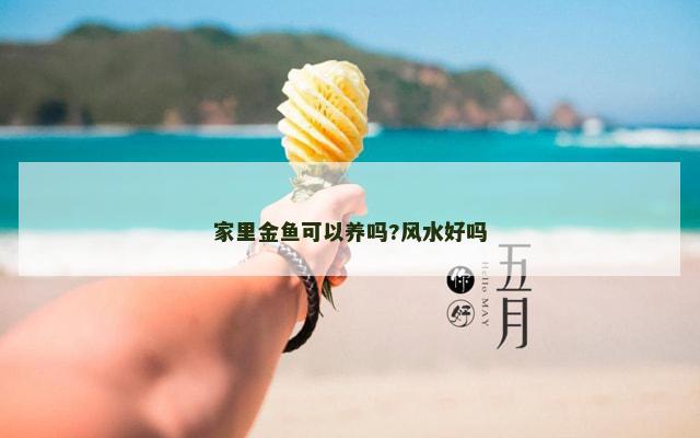 家里金鱼可以养吗?风水好吗