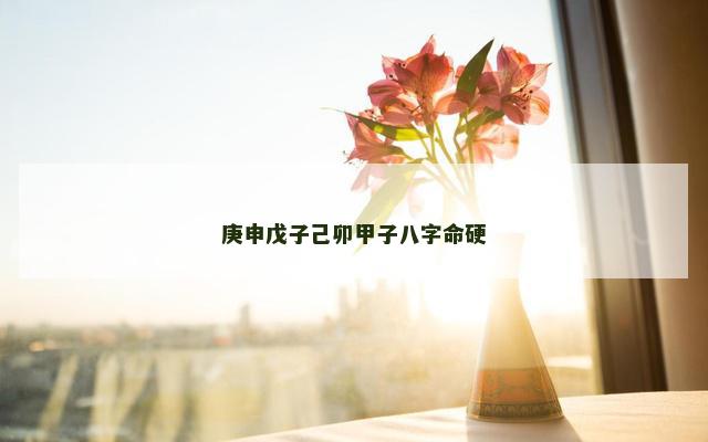 庚申戊子己卯甲子八字命硬