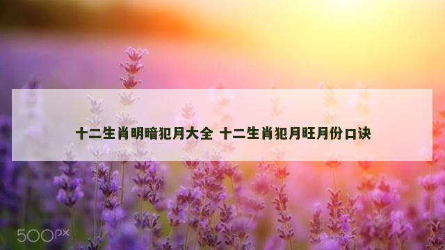 十二生肖明暗犯月大全 十二生肖犯月旺月份口诀