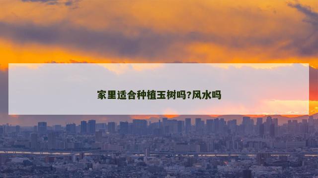 家里适合种植玉树吗?风水吗