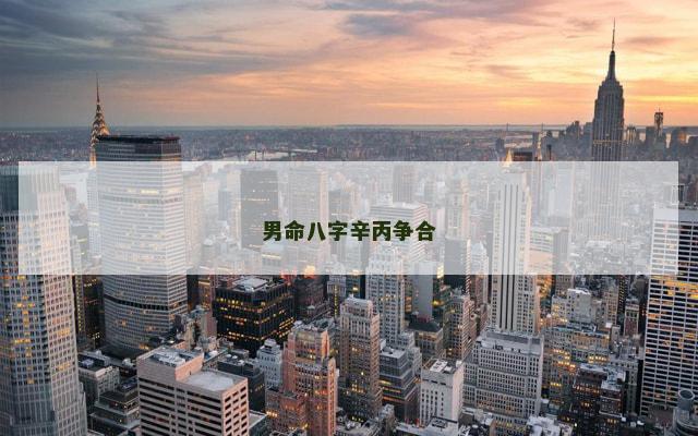 男命八字辛丙争合