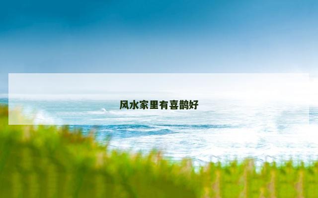 风水家里有喜鹊好