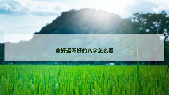 命好运不好的八字怎么看