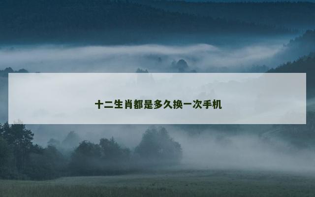 十二生肖都是多久换一次手机