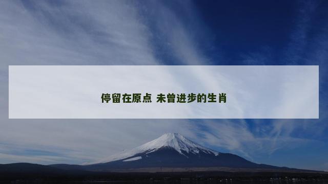 停留在原点 未曾进步的生肖