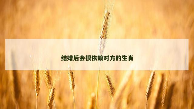 结婚后会很依赖对方的生肖