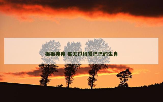 抠抠搜搜 每天过得紧巴巴的生肖