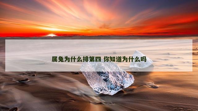 属兔为什么排第四 你知道为什么吗