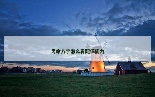 男命八字怎么看配偶能力