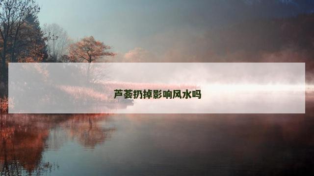 芦荟扔掉影响风水吗