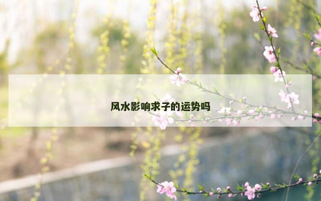 风水影响求子的运势吗
