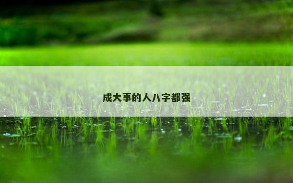 成大事的人八字都强