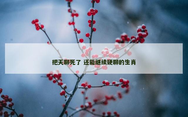 把天聊死了 还能继续硬聊的生肖