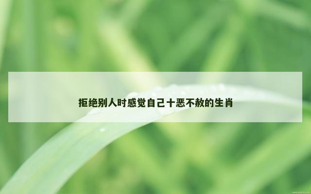拒绝别人时感觉自己十恶不赦的生肖