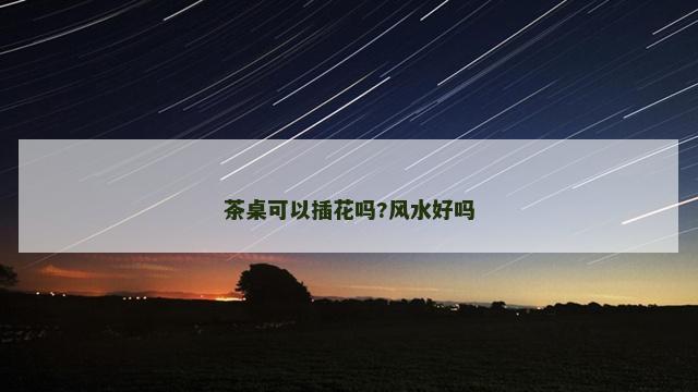 茶桌可以插花吗?风水好吗