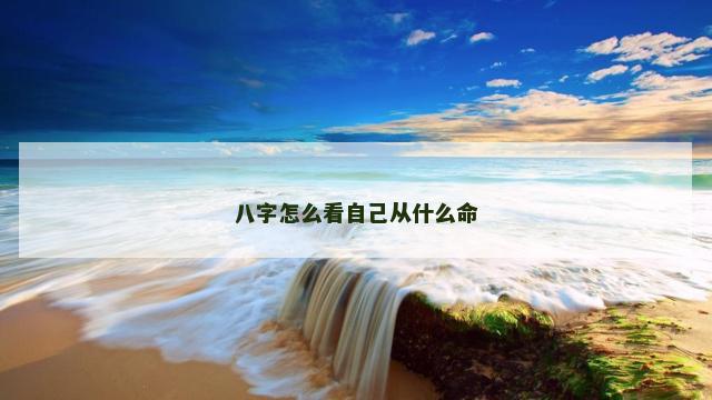 八字怎么看自己从什么命