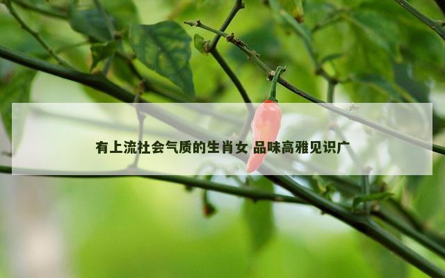 有上流社会气质的生肖女 品味高雅见识广