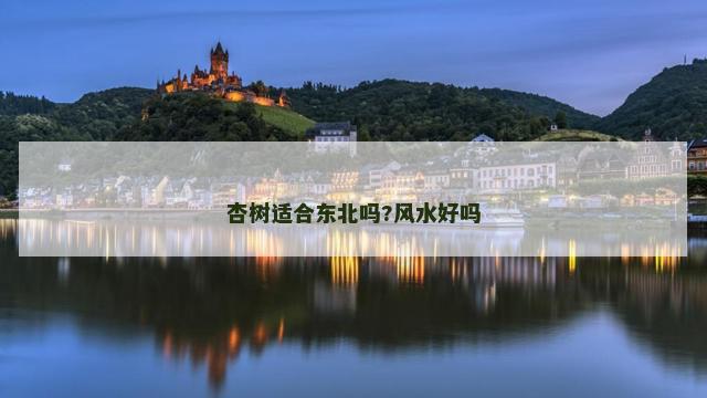 杏树适合东北吗?风水好吗
