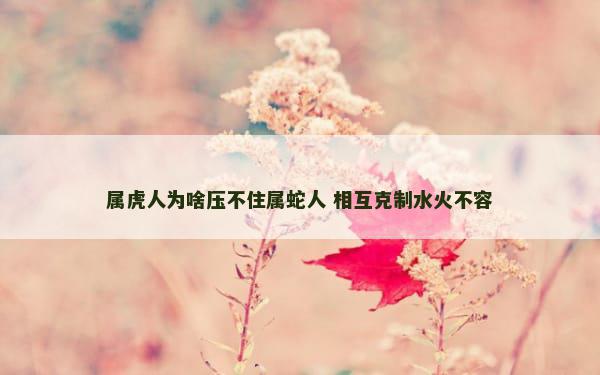属虎人为啥压不住属蛇人 相互克制水火不容