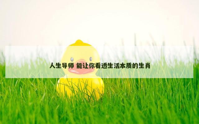 人生导师 能让你看透生活本质的生肖