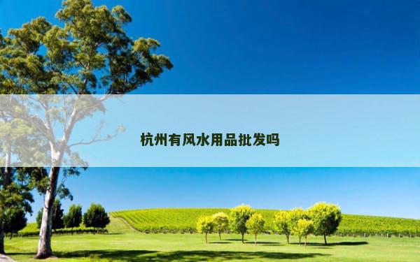 杭州有风水用品批发吗