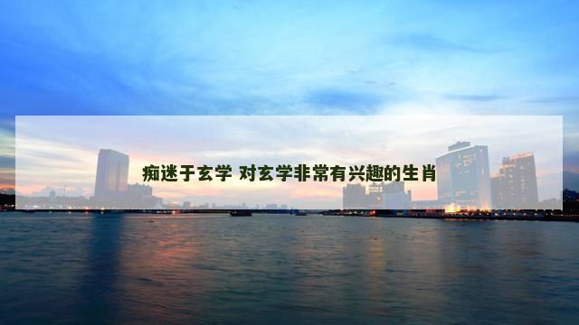痴迷于玄学 对玄学非常有兴趣的生肖