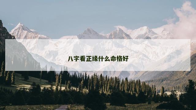 八字看正缘什么命格好