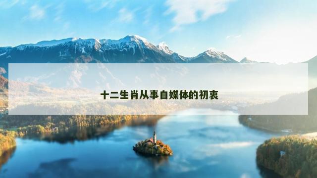 十二生肖从事自媒体的初衷