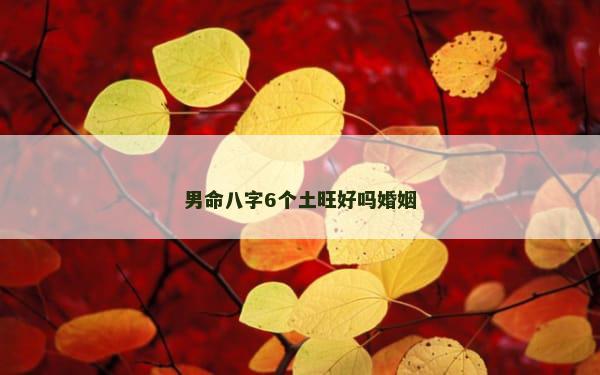 男命八字6个土旺好吗婚姻