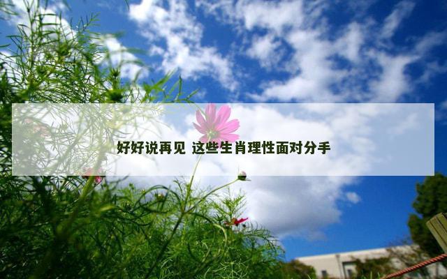 好好说再见 这些生肖理性面对分手